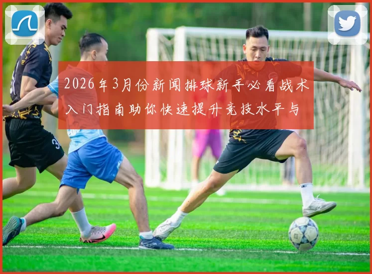 2026年3月份新闻排球新手必看战术入门指南助你快速提升竞技水平与团队配合技巧